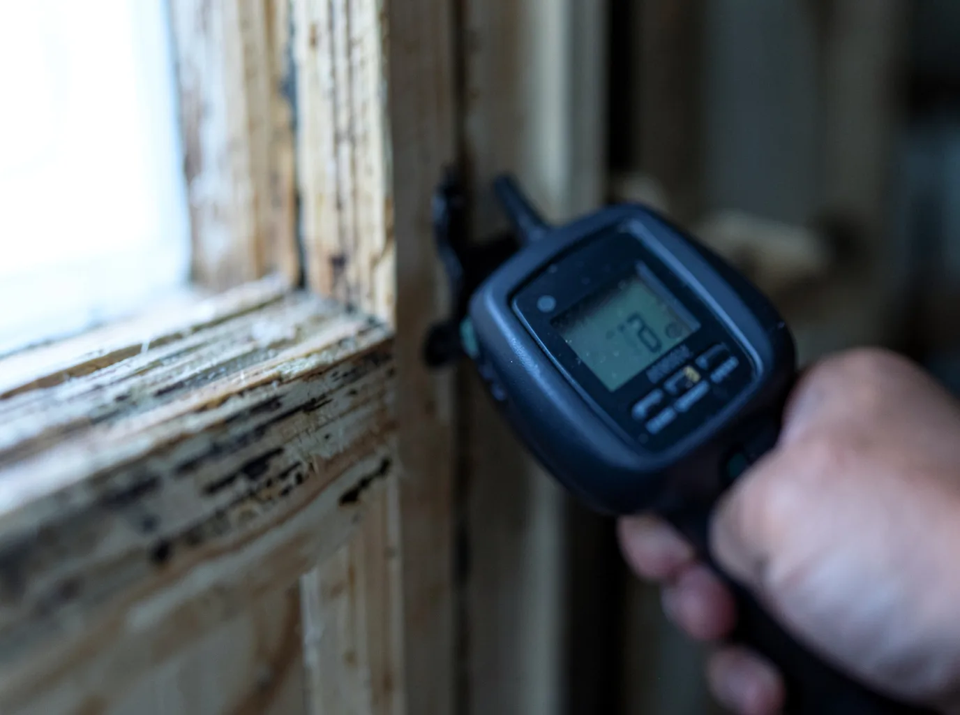 Moisture Inspection And Documentation in Valley Lee, MD